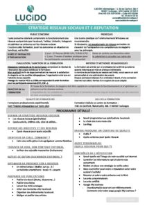 Strategie reseaux sociaux et E reputation pdf