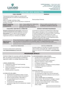 Strategie Webmarketing pdf
